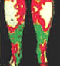 Chi Machine, Chi Machines, Chi Exerciser,